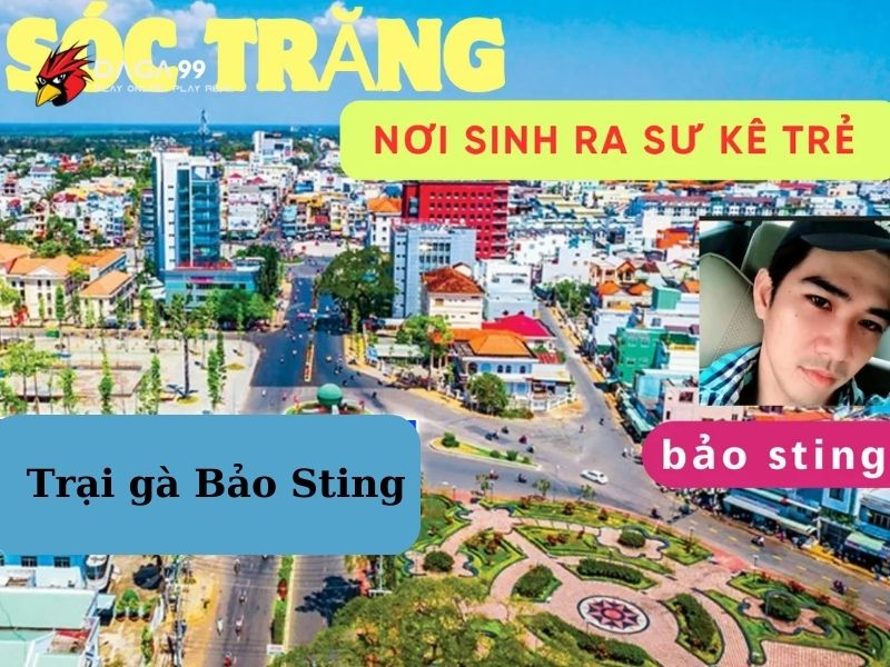 trại gà bảo sting 02