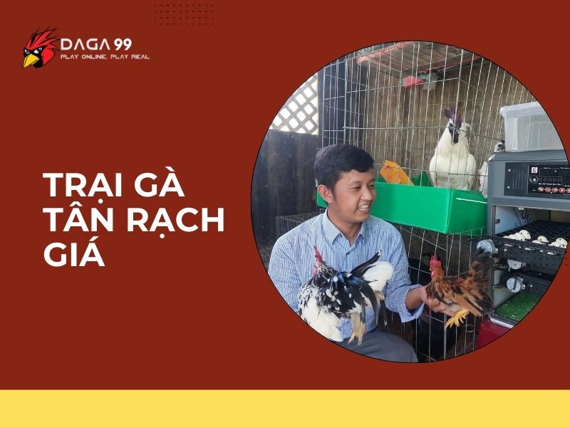 Trại gà tân rạch giá 01